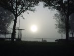 DSC00886