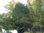 DSC00927