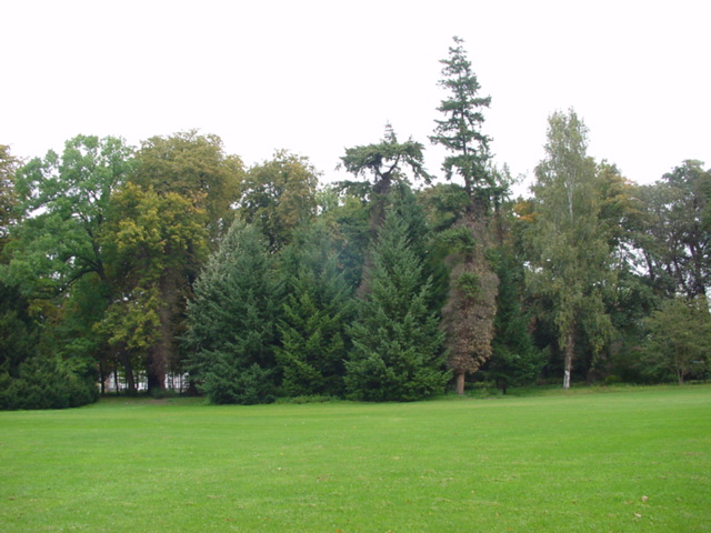 DSC00928
