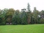 DSC00928