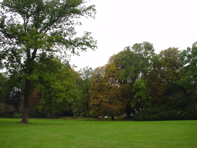 DSC00929