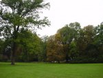 DSC00929