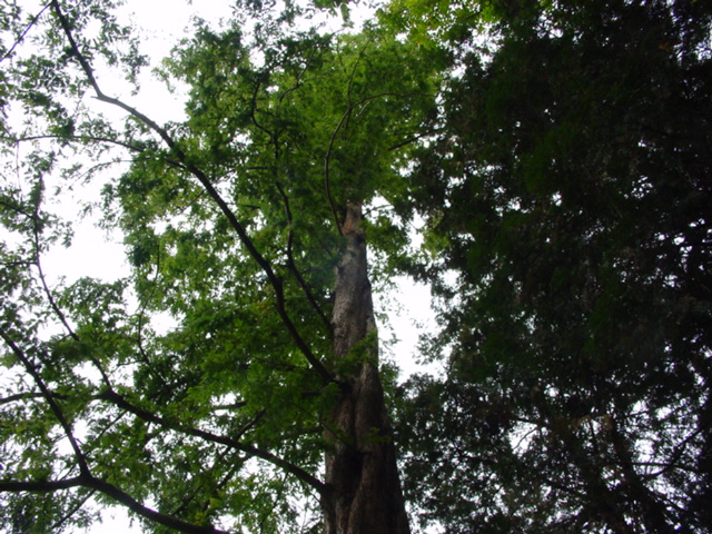 DSC00931