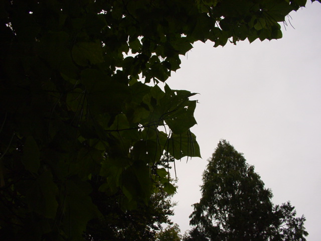 DSC00937