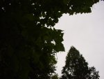 DSC00937