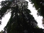 DSC00941