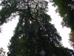 DSC00942