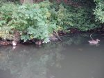 DSC00948