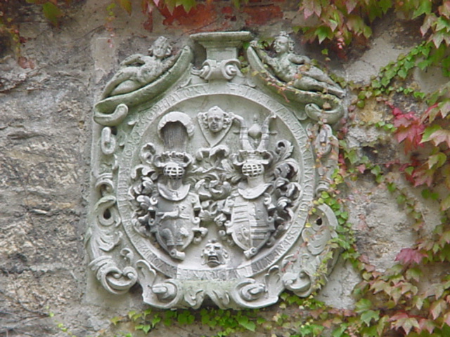 DSC00954