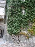 DSC00955