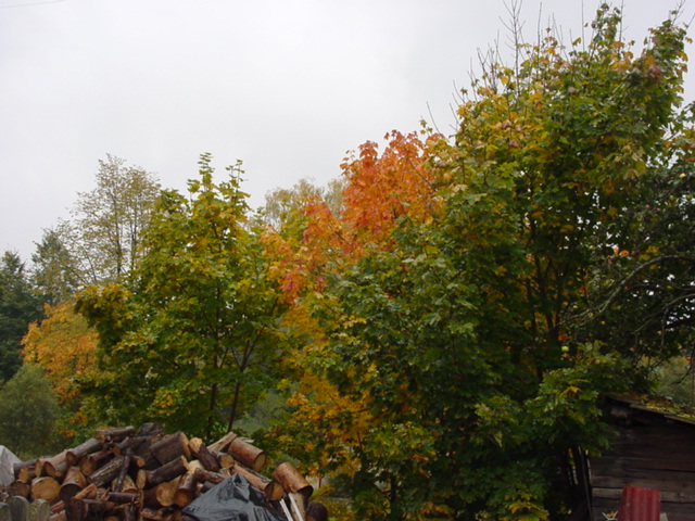 DSC00957