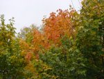 DSC00958