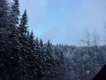 DSC00730