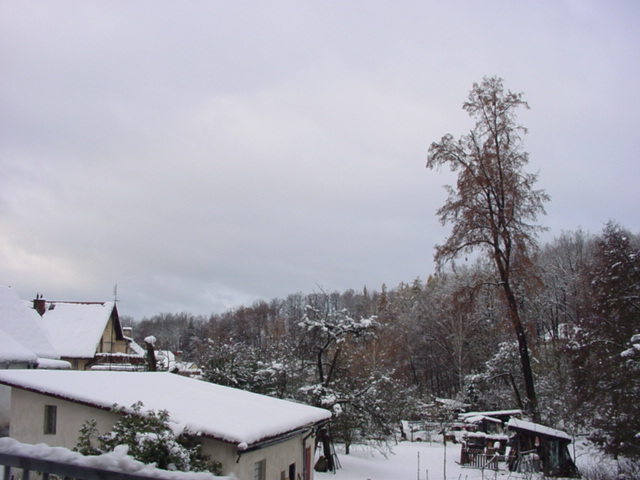 DSC00731