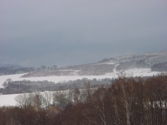 DSC00735