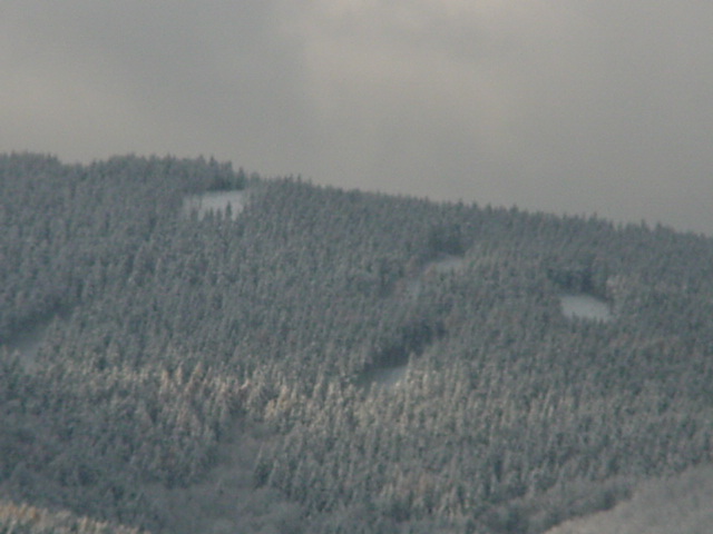 DSC00738