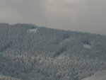 DSC00738