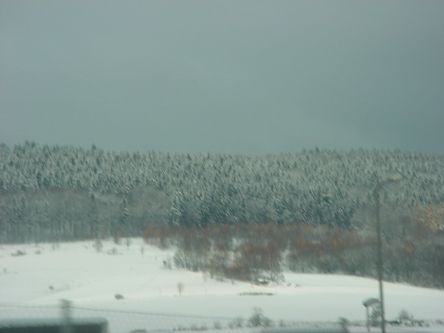 DSC00740