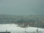 DSC00740