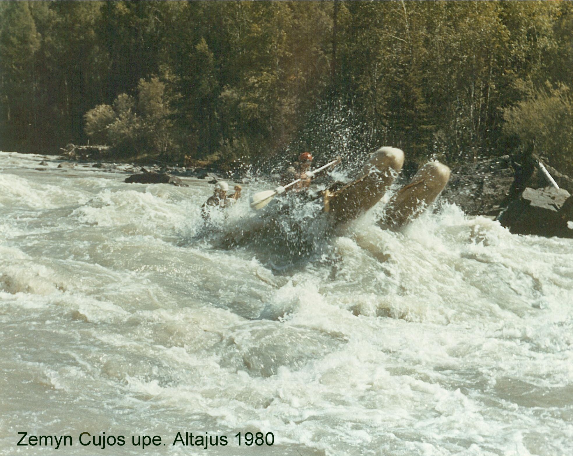 čuja,  Altajus 1980