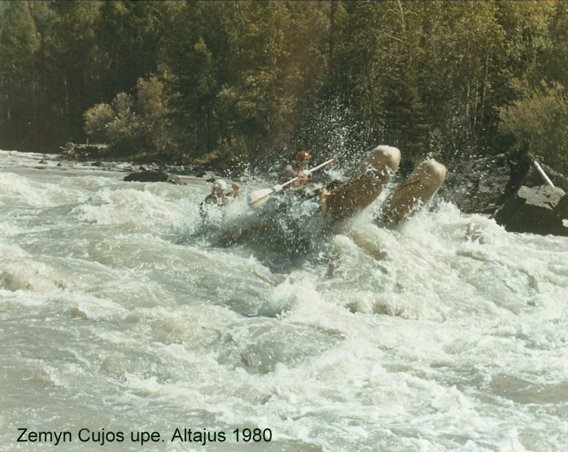 čuja,  Altajus 1980