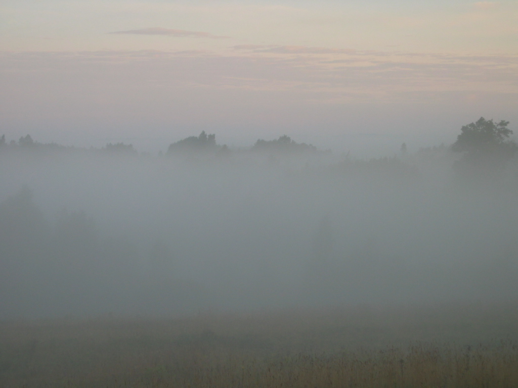 Rukas