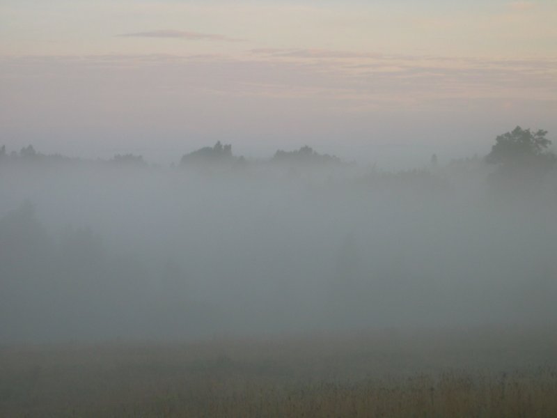 Rukas