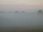 Rukas