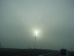 DSC00966