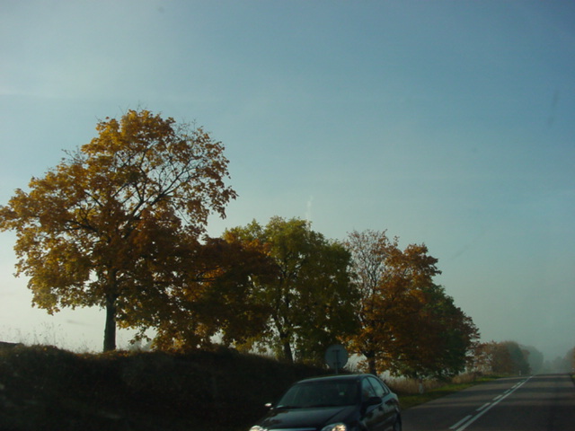 DSC00967