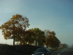 DSC00967