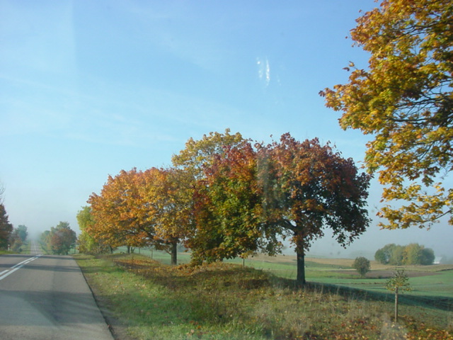 DSC00968