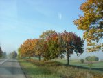 DSC00968