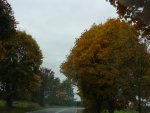 DSC00969