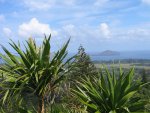 Norfolk island scenery from Mt Pitt