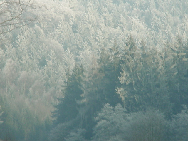 DSC00724