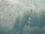 DSC00724