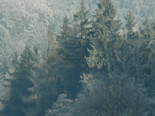 DSC00725