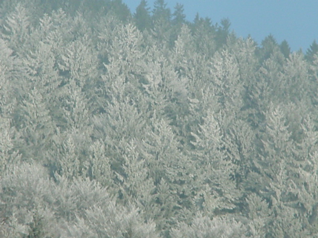 DSC00726