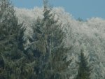 DSC00727
