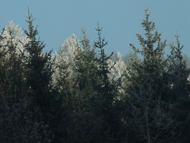 DSC00728