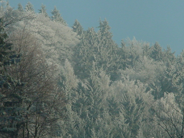 DSC00730