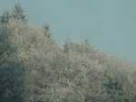 DSC00732