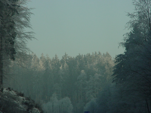 DSC00735