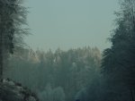 DSC00735
