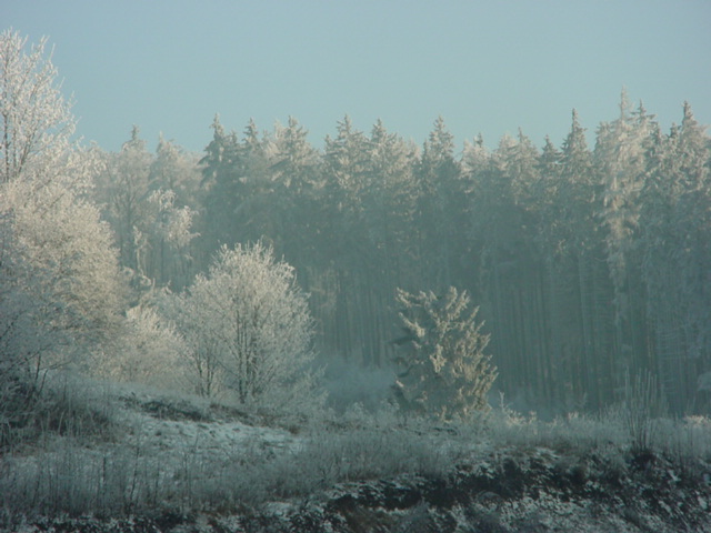 DSC00737