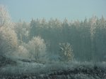 DSC00737