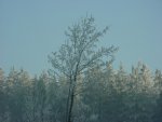 DSC00738
