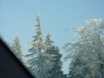 DSC00739