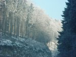 DSC00740